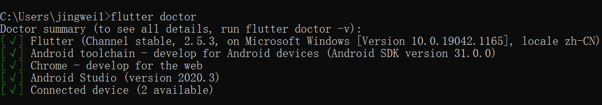 flutter doctor